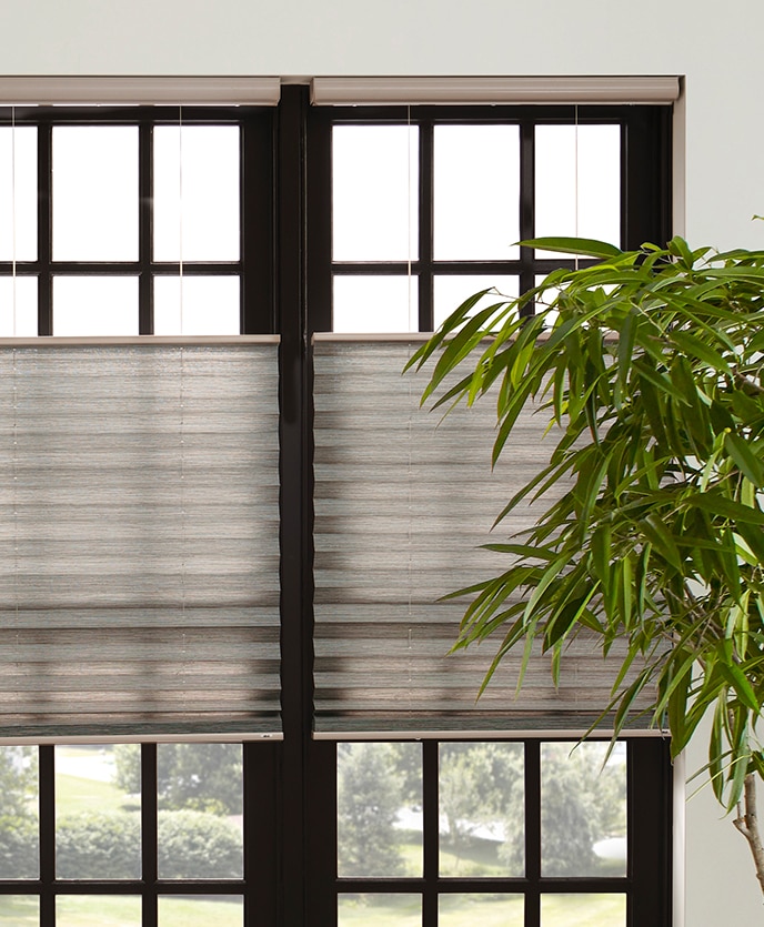 Pleated Shades