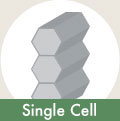 single cell