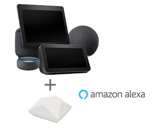 connect to your Amazon Alexa using the NEO hub