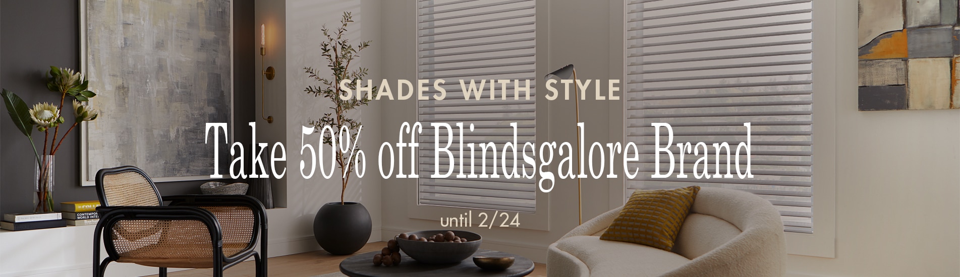 Find shades with style and take 50% off all blindsgalore products