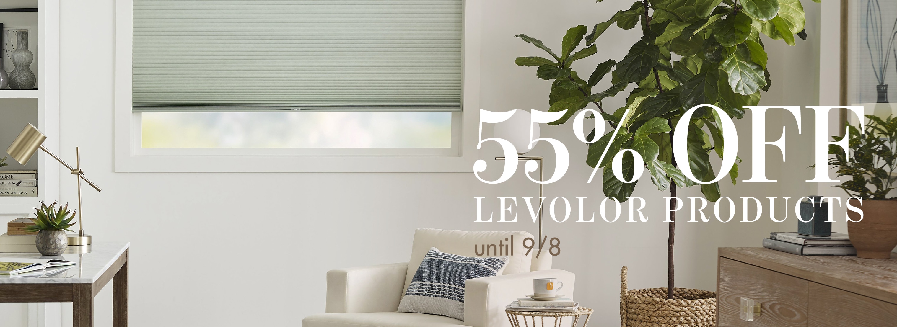 Shop custom  blinds and shades at Blindsgalore
