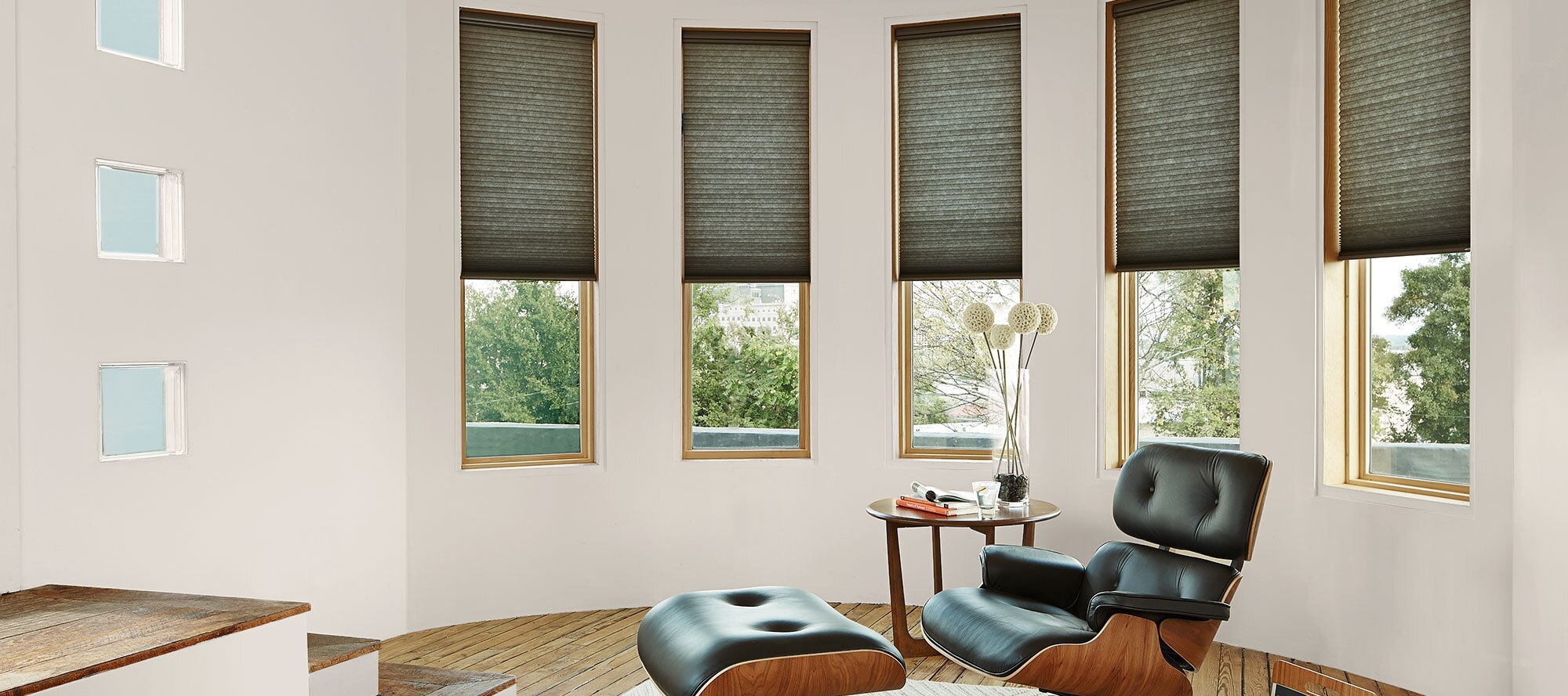 Window Coverings, Blinds & Shades Blindsgalore