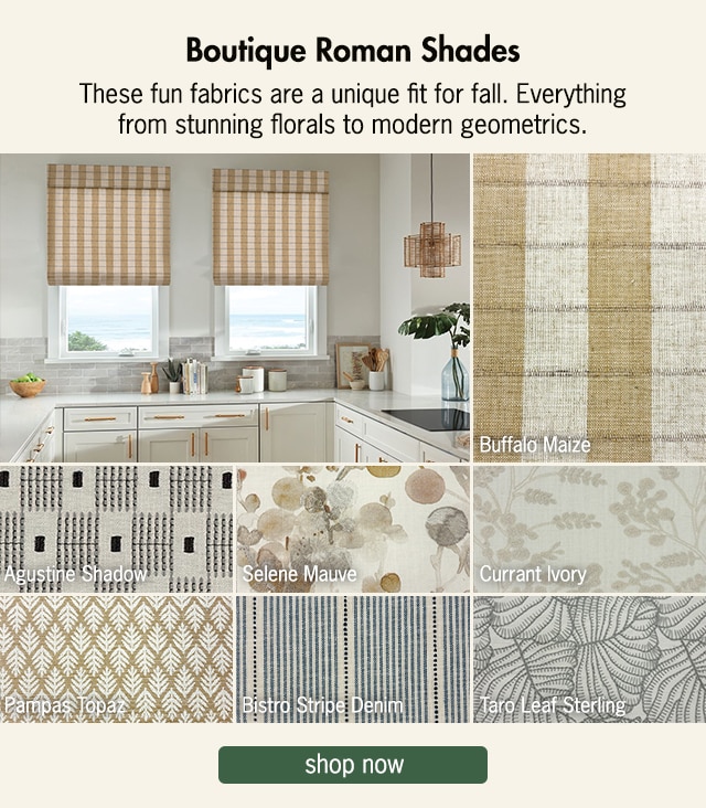 Boutique Roman Shades with Patterns