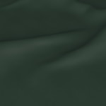 Color Image - Hunter Green