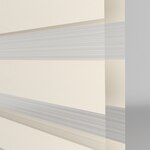 Color Image - Champagne