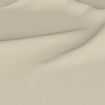 Color Image - Ecru