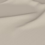 Color Image - Ecru
