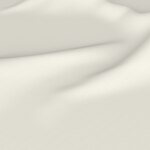 Color Image - Champagne