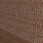 Color Image - Rum Raisin