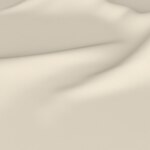 Color Image - Limestone