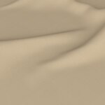 Color Image - Earth