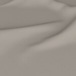 Color Image - Pebble