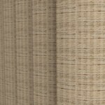 Color Image - Almond