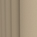 Color Image - Birch