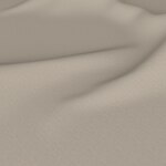 Color Image - Fundamentals Ash