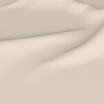 Color Image - Sheerweave 2390 Beige