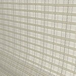 Color Image - Willow