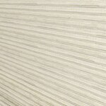 Color Image - Coconut