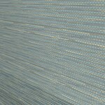 Color Image - Blue Jay
