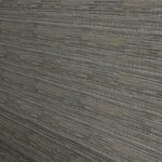 Color Image - Coffee Bean