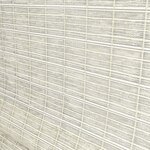 Color Image - Macadamia Nut