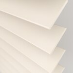 Color Image - Putty