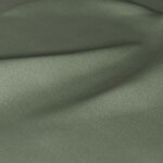 Color Image - Eucalyptus