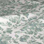 Color Image - Ambrosia Saltwater