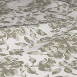 Color Image - Ambrosia Powdery Soil