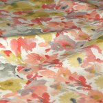 Color Image - Gradual Agave Coral