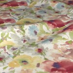 Color Image - Gradual Peach