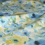 Color Image - Gradual Blue Frost
