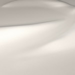 Blindsgalore Envision Light Filtering Roller Shades