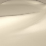 Blindsgalore Envision Light Filtering Roller Shades