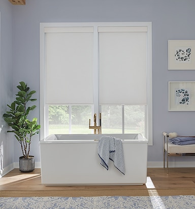 Blindsgalore Select Cellular Shades: Light Filtering