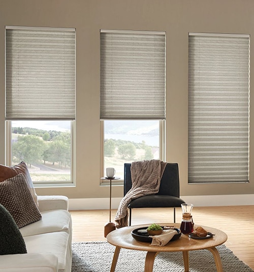 Bali Neat Pleat Pleated Shades shown in Domain Dried Mud