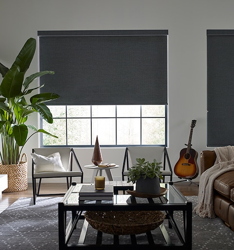 Levolor Roller Shades: Room Darkening