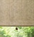 Blindsgalore Solar Shades shown in Sheerweave 2360: Charcoal Chestnut