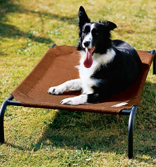 Coolaroo Dog Bed Xl Cover at Melvin Gordon blog