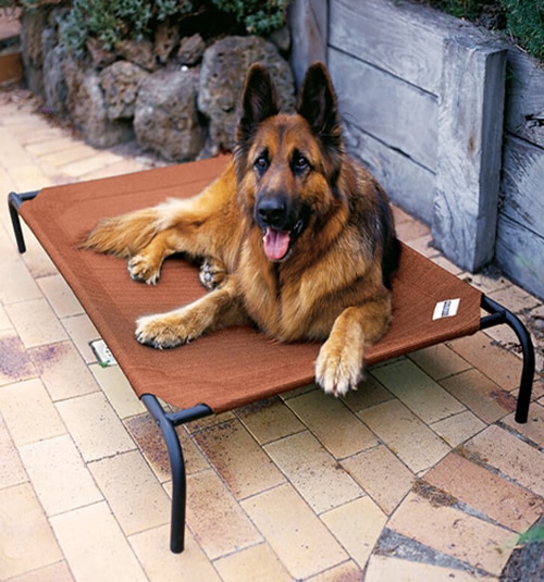 Coolaroo® Pet Beds Large Blindsgalore