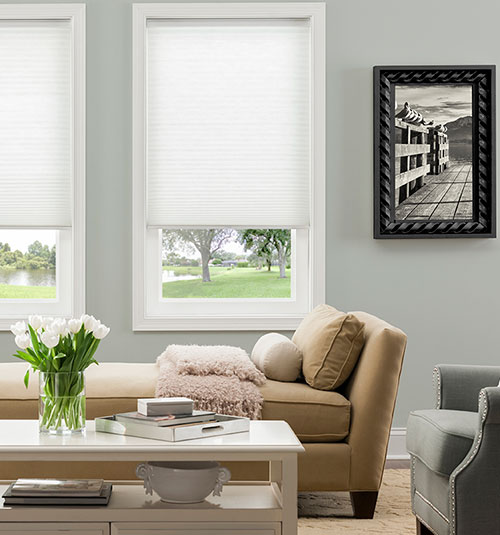 Blindsgalore Classic Cellular Shades: Light Filtering in Pure White