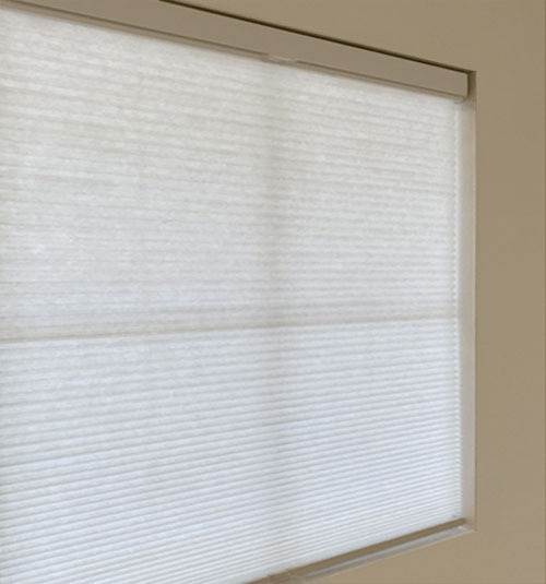 TDBU Cordless Cellular in Light Filtering
