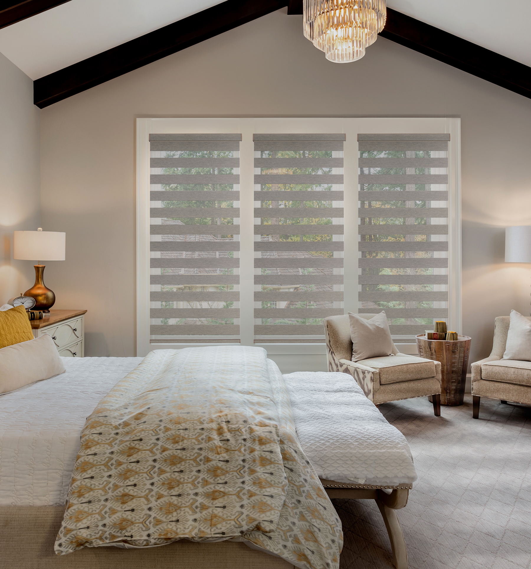 Blindsgalore Classic Room Darkening Dual Sheer Shades