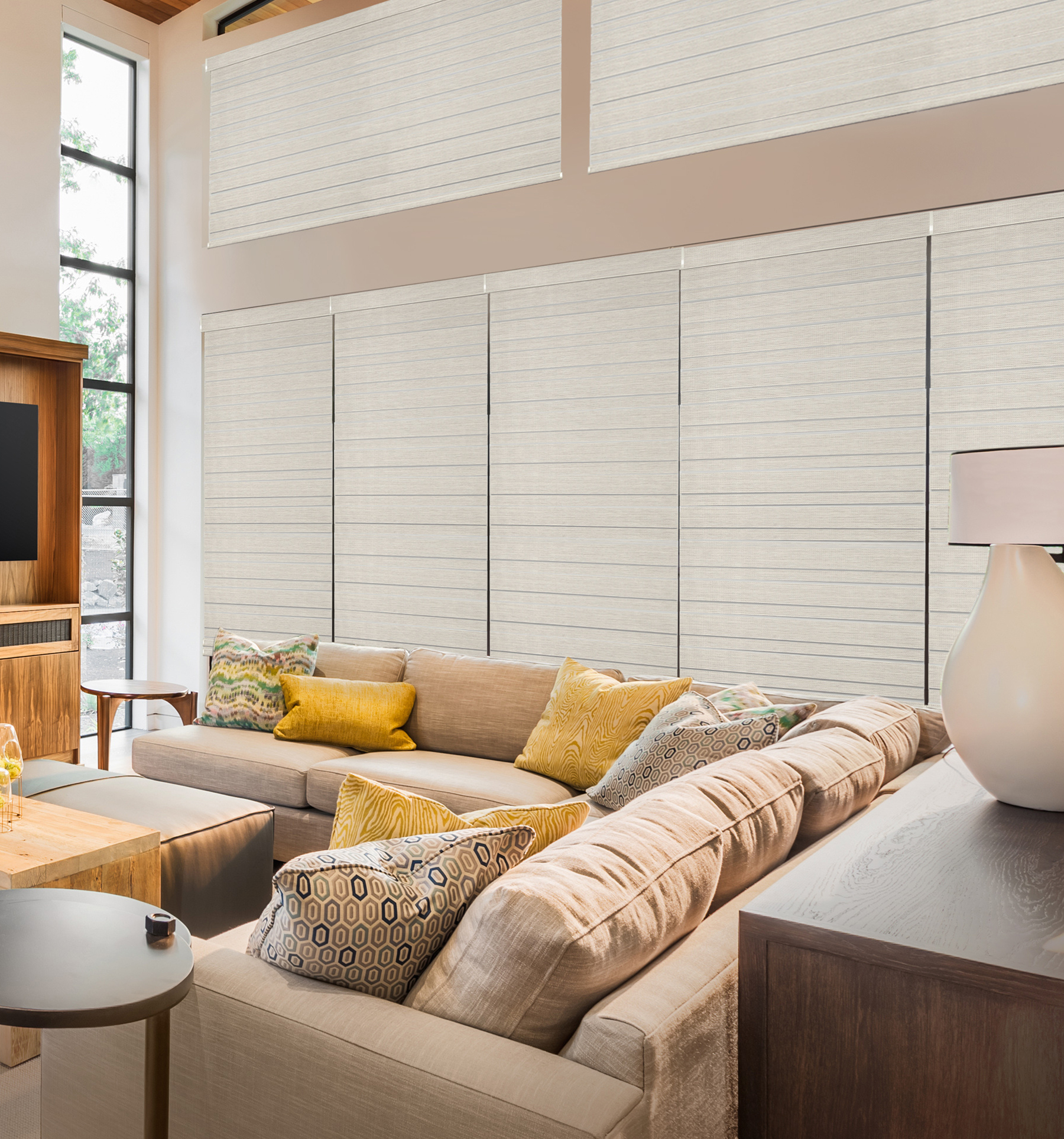 Blindsgalore Luxera Room Darkening Dual Sheer Shades