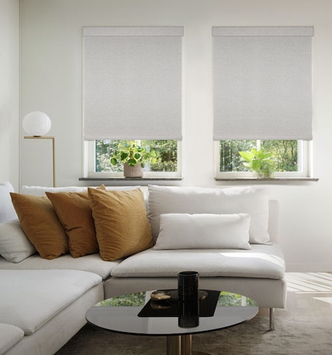 Blindsgalore Envision Motorized Roller Shades