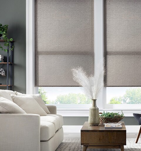 Blindsgalore Essential Motorized Roller Shades