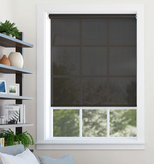 Blindsgalore Essential Motorized Solar Shades