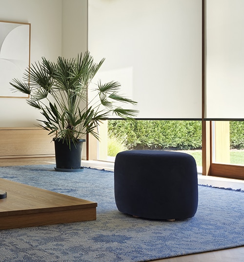 Blindsgalore Harmony Roller Shades shown in Essential Canvas Fawn