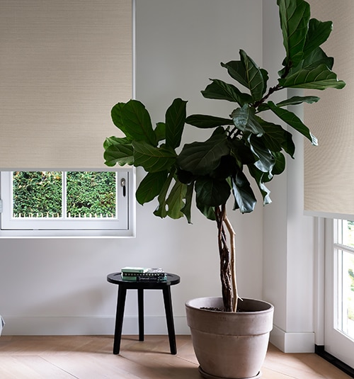 Blindsgalore Harmony Roller Shades shown in Essential Canvas Fawn