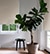 Blindsgalore Harmony Roller Shades shown in Essential Canvas Fawn